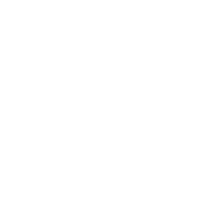 LT Foods