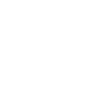 My TVS